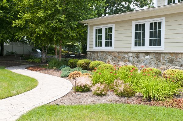 Backyard Landscaping